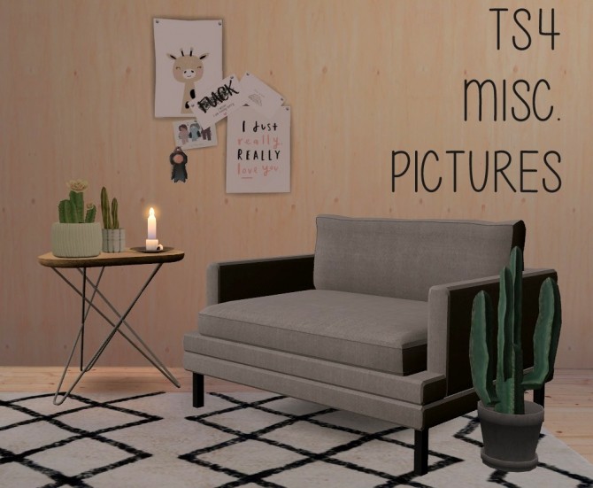 Sims 4 Miscellaneous pictures at Riekus13