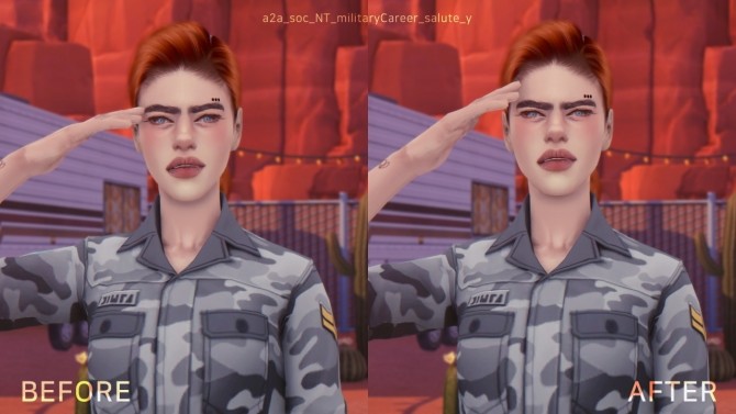 Sims 4 Military Salute Overhaul at Yakfarm