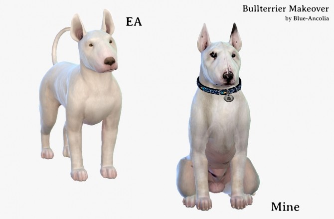 Sims 4 BullTerrier Makeover at Blue Ancolia