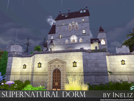 Supernatural Dorm by Ineliz at TSR