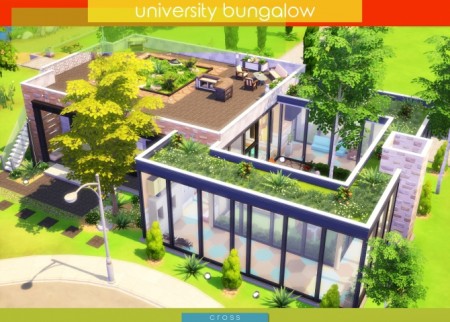 University Bungalow by Praline at Cross Design