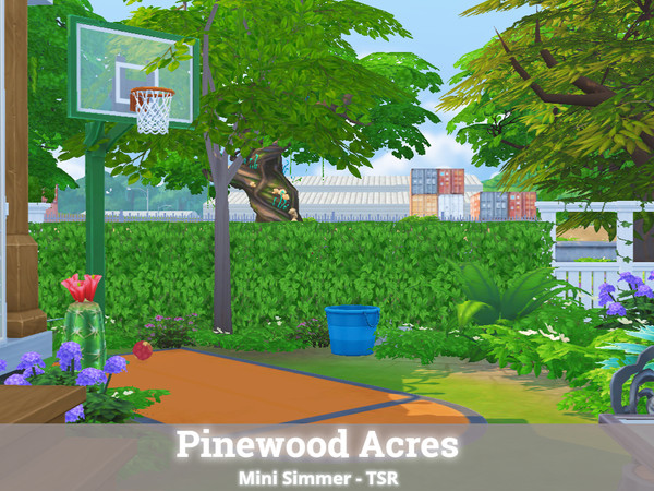 Sims 4 Pinewood Acres by Mini Simmer at TSR
