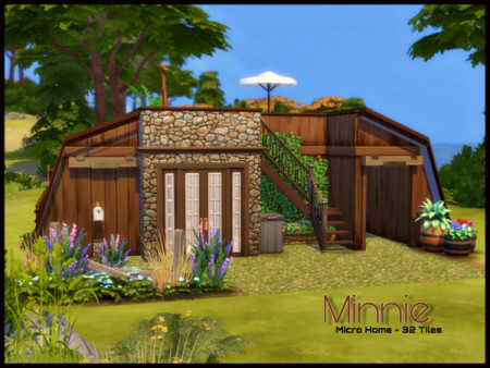 Minnie house by sparky at TSR