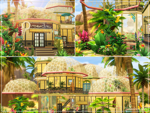Sims 4 The Beehive cafe house by Xandralynn at TSR