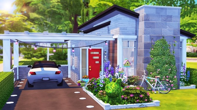 Sims 4 CRAZY CAT LADY MICRO HOME at Aveline Sims
