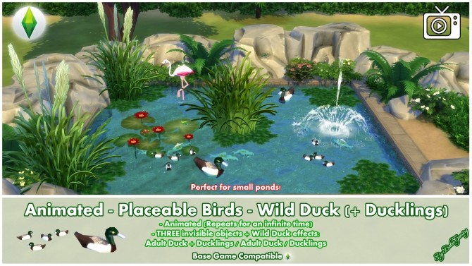 Sims 4 Animated Placeable Birds Wild Duck + Ducklings by Bakie at Mod The Sims