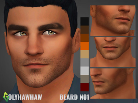 Beard N01 by DrHawHaw at TSR