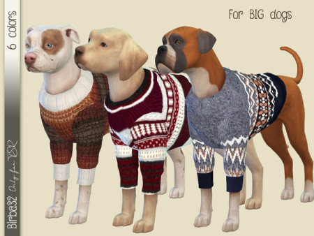 Wool sweater for dogs by Birba32 at TSR