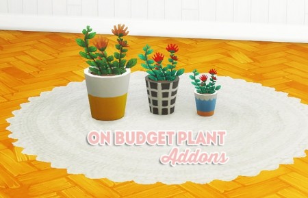 On budget plant addons at Lina Cherie