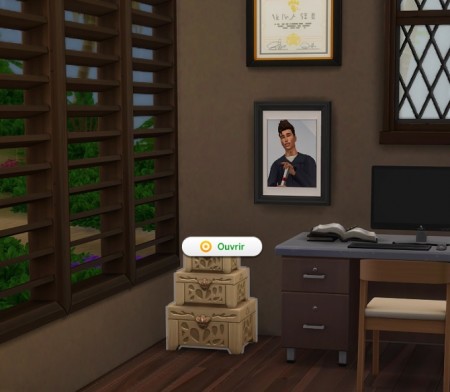 Functional Storage Boxes at Sims 4 Diversity Project