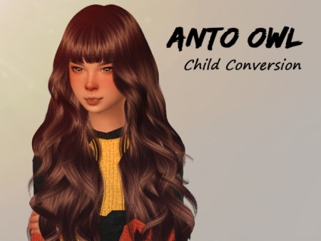 Anto Owl Child hair by Alfyy at TSR