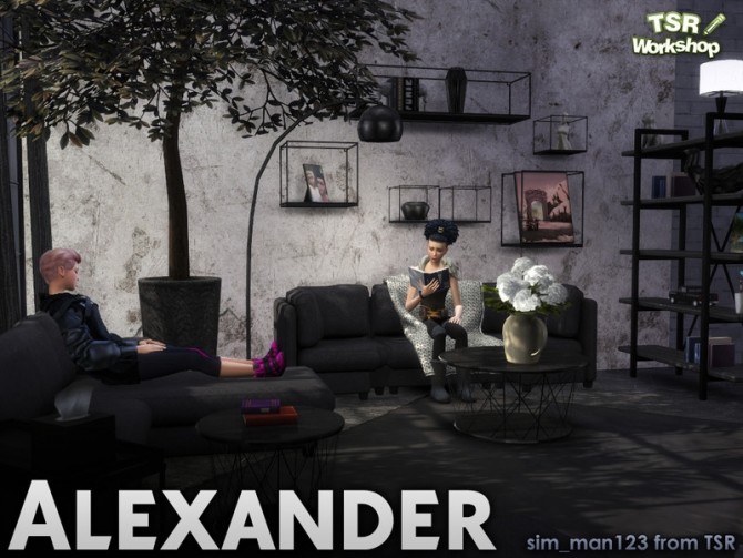 Sims 4 Alexander Living Deco by sim man123 at TSR
