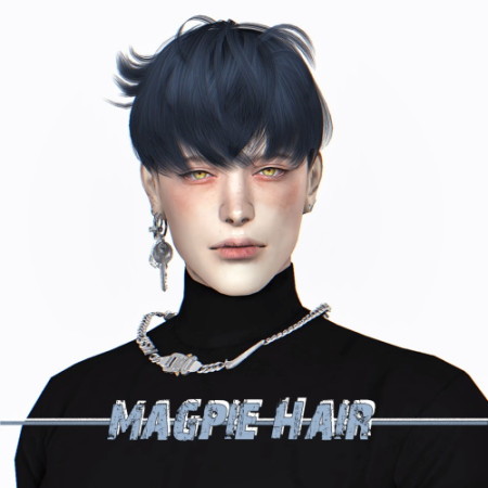 Magpie Hair at Lemon Sims 4