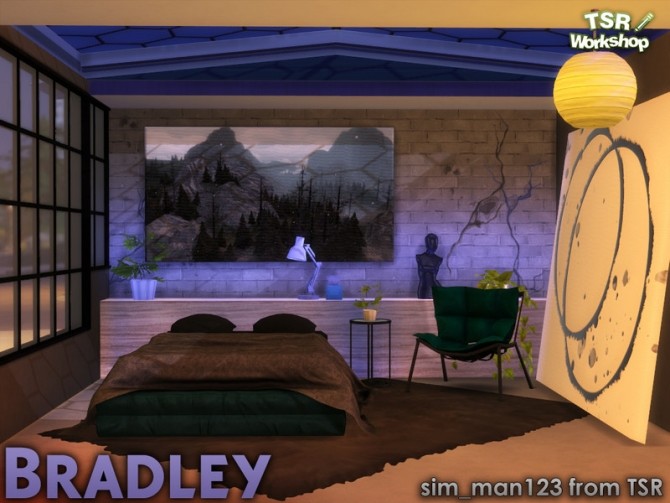 Sims 4 Bradley Bedroom by sim man123 at TSR