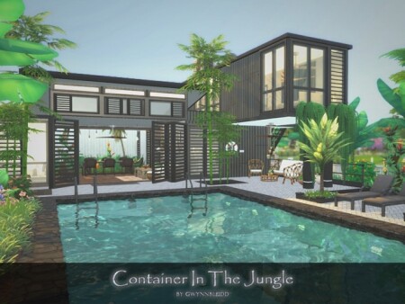 Container In The Jungle by Gwynnbleidd at TSR