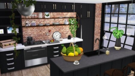Industrial kitchen at Celinaccsims