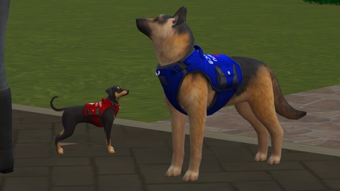 Sims 4 Service Animal Accessories by Oakstar519 at Mod The Sims