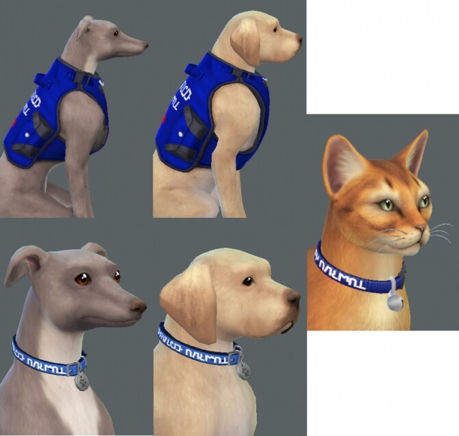 Sims 4 Service Animal Accessories by Oakstar519 at Mod The Sims