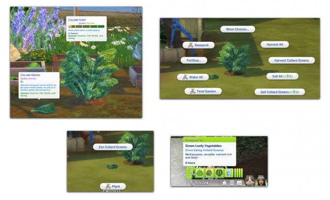 Sims 4 HARVESTABLE COLLARD GREENS at Icemunmun