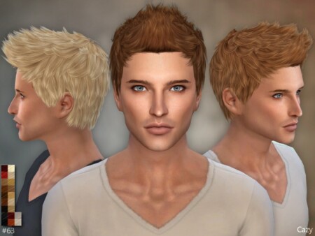 Male Hairstyle #63 by Cazy at TSR