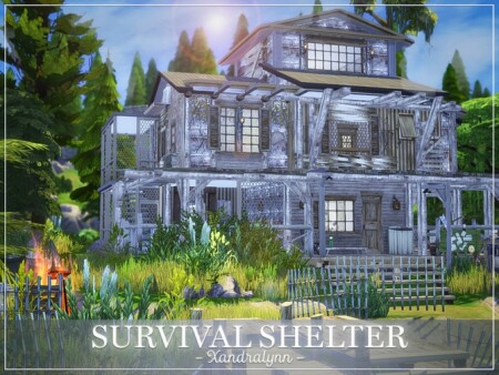 Survival post-apocalyptic shelter by Xandralynn at TSR
