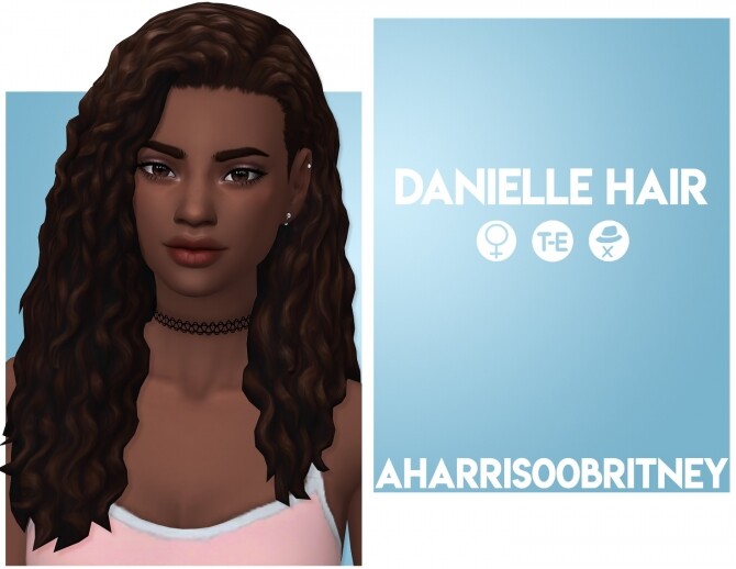 Sims 4 Danielle Hair at AHarris00Britney