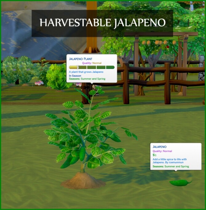 Sims 4 HARVESTABLE JALAPENO at Icemunmun