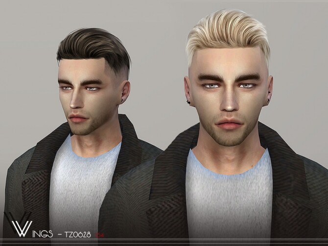 Sims 4 Hair TZ0628 by wingssims at TSR
