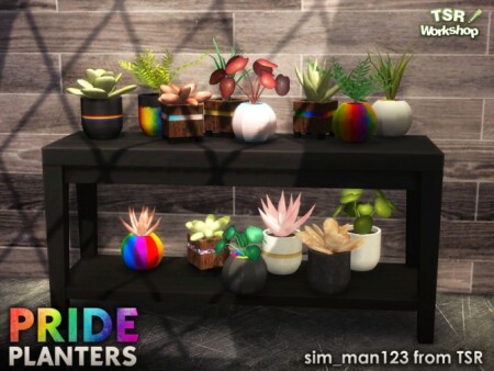 Pride Planters 2020 by sim_man123 at TSR
