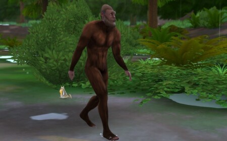 Bigfoot Head and Body by tklarenbeek at Mod The Sims