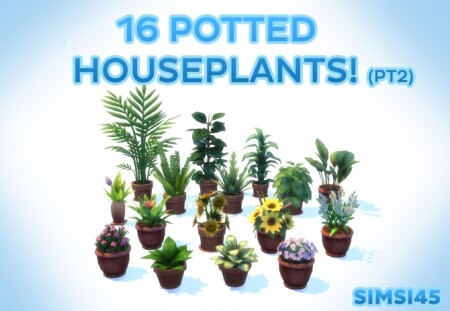 16 Potted Houseplants pt2 by simsi45 at Mod The Sims