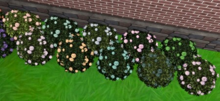 Bachelor Button Bush by Wykkyd at Mod The Sims