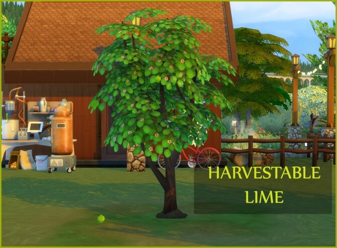 Sims 4 HARVESTABLE LIME at Icemunmun