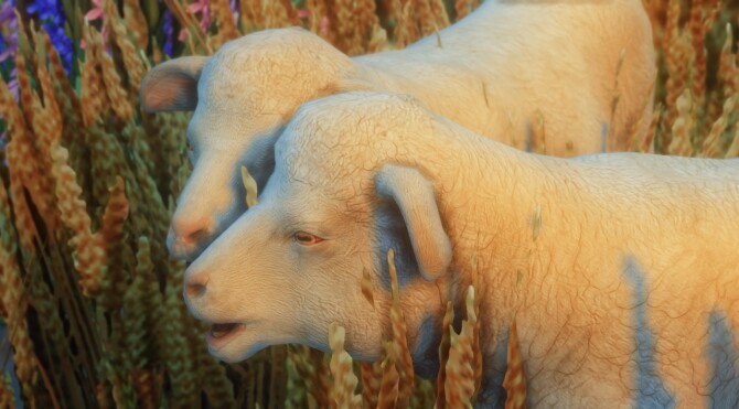 Sims 4 Farm Animal Set at MountainSplitter