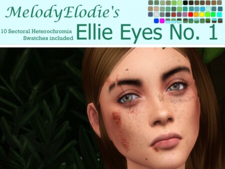 Ellie Eyes No. 1 by MelodyElodie at TSR