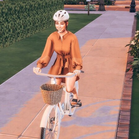 Bicycle Pastel Recolours at DK SIMS