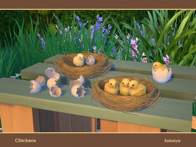 Sims 4 Chickens by soloriya at TSR