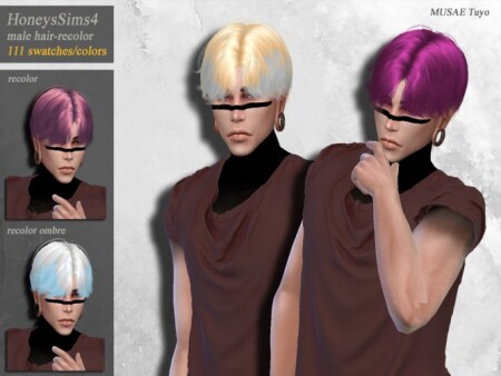 Tuyo male hair recolor by HoneysSims4 at TSR