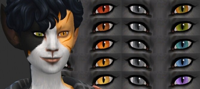 Sims 4 Feline Heterochromia by EachUisge at Mod The Sims
