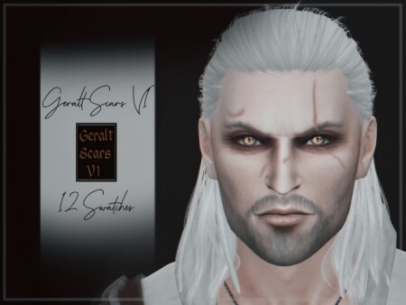Geralt Scars V1 by Reevaly at TSR