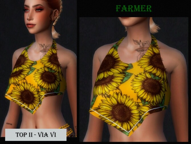 Sims 4 TOP II FARMER VI by Viy Sims at TSR