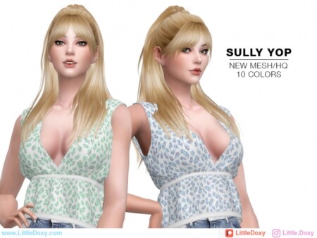 Sully Top by LittleDoxy at TSR