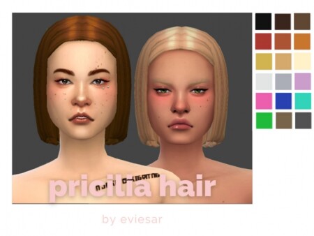 Priclia Hair by EvieSAR at TSR