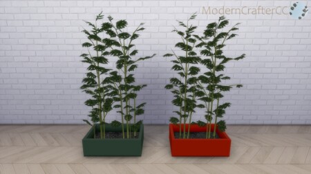 Potted Modern Asian Bamboo at Modern Crafter CC