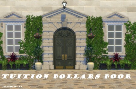 Tuition Dollars Door Recolour by Nutter-Butter-1 at Mod The Sims