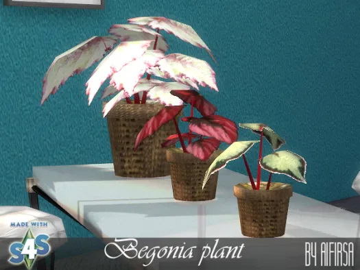 Sims 4 Begonia plant at Aifirsa