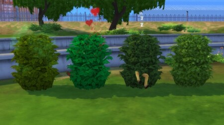 Plain Interactive Bushes by Ellawese at Mod The Sims