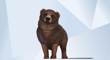 Grizzly Bear at Kalino » Sims 4 Updates