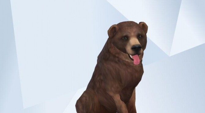 Sims 4 Grizzly Bear at Kalino