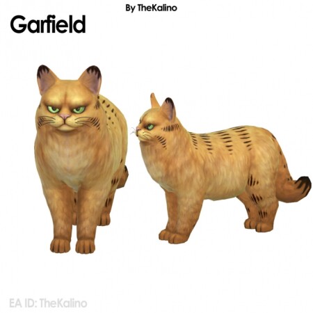 Garfield cat at Kalino